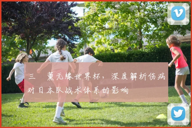 三笘薰无缘世界杯，深度解析伤病对日本队战术体系的影响